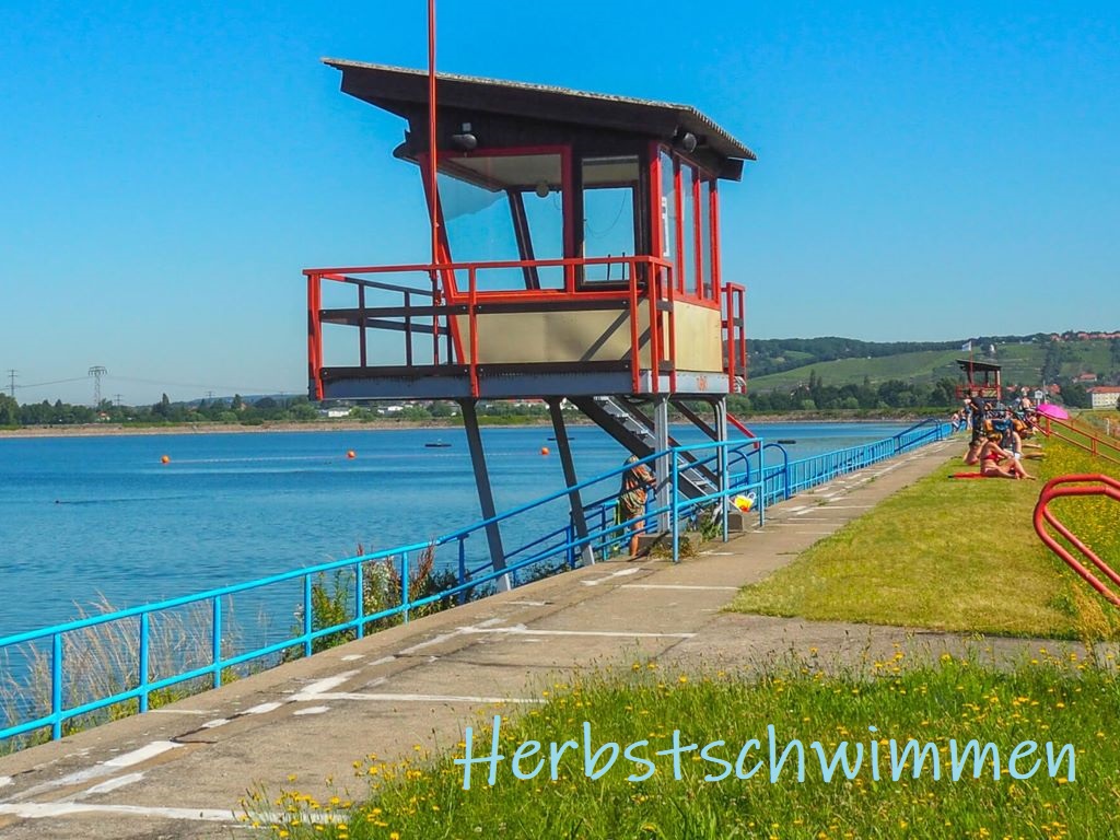 Herbstschwimmen